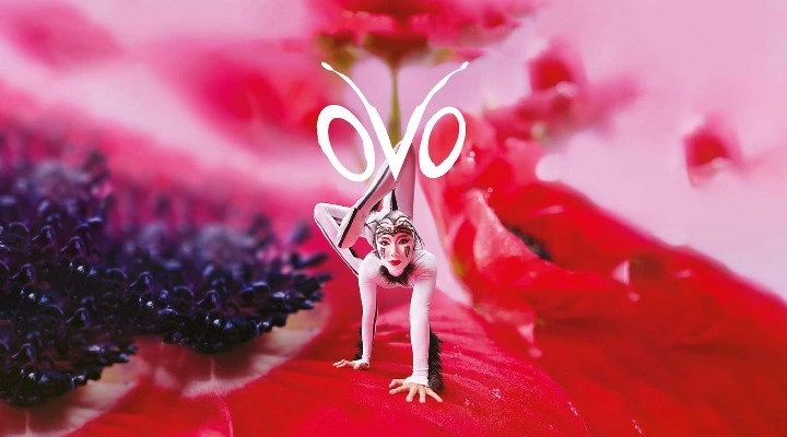 Cirque du Soleil «OVO»