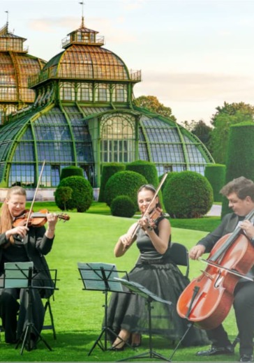Концерт Mozart & Beethoven. Strings & Dreams – Vienna’s Finest